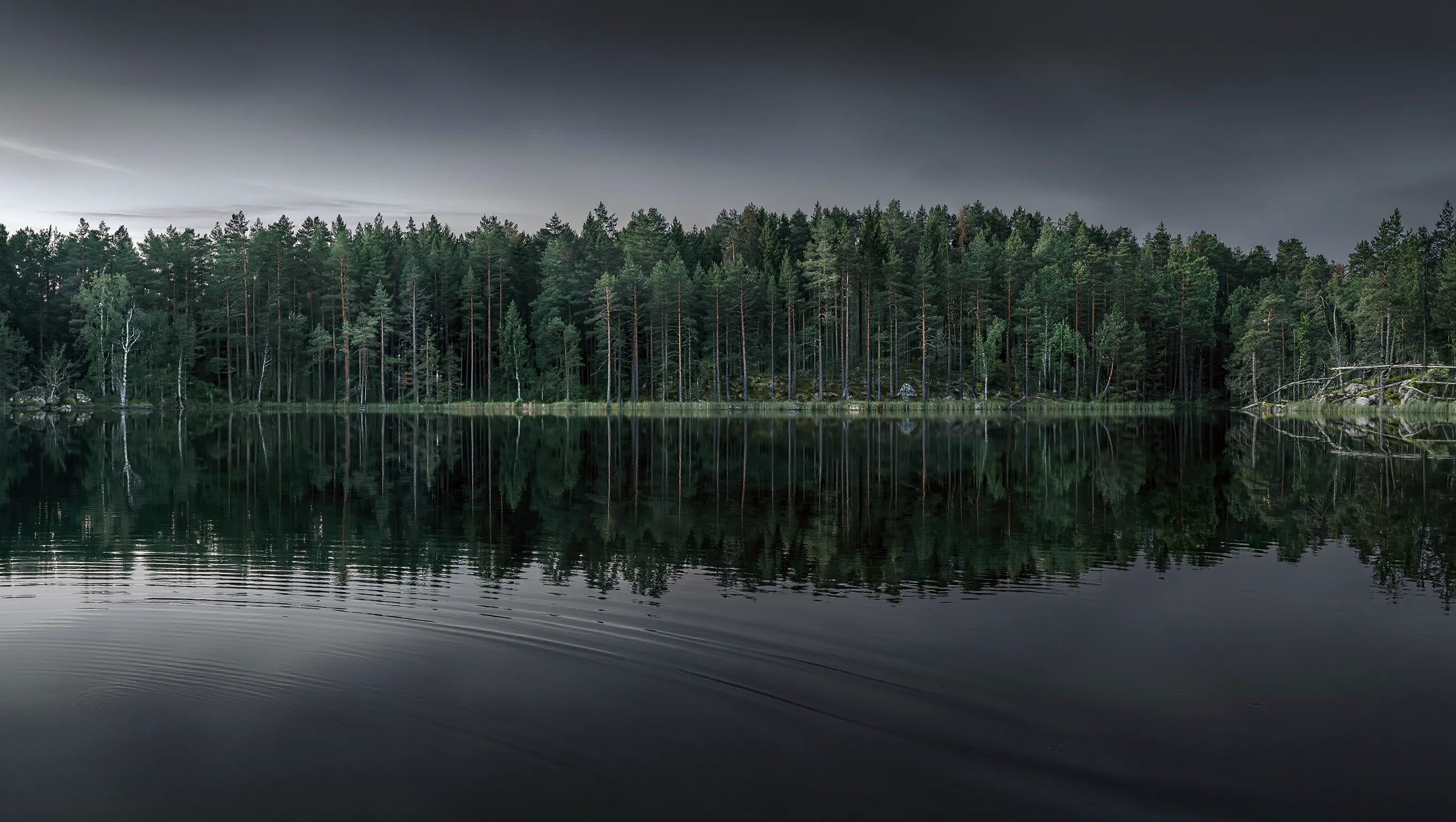 Wilderio — dabas atpūta Baltijā